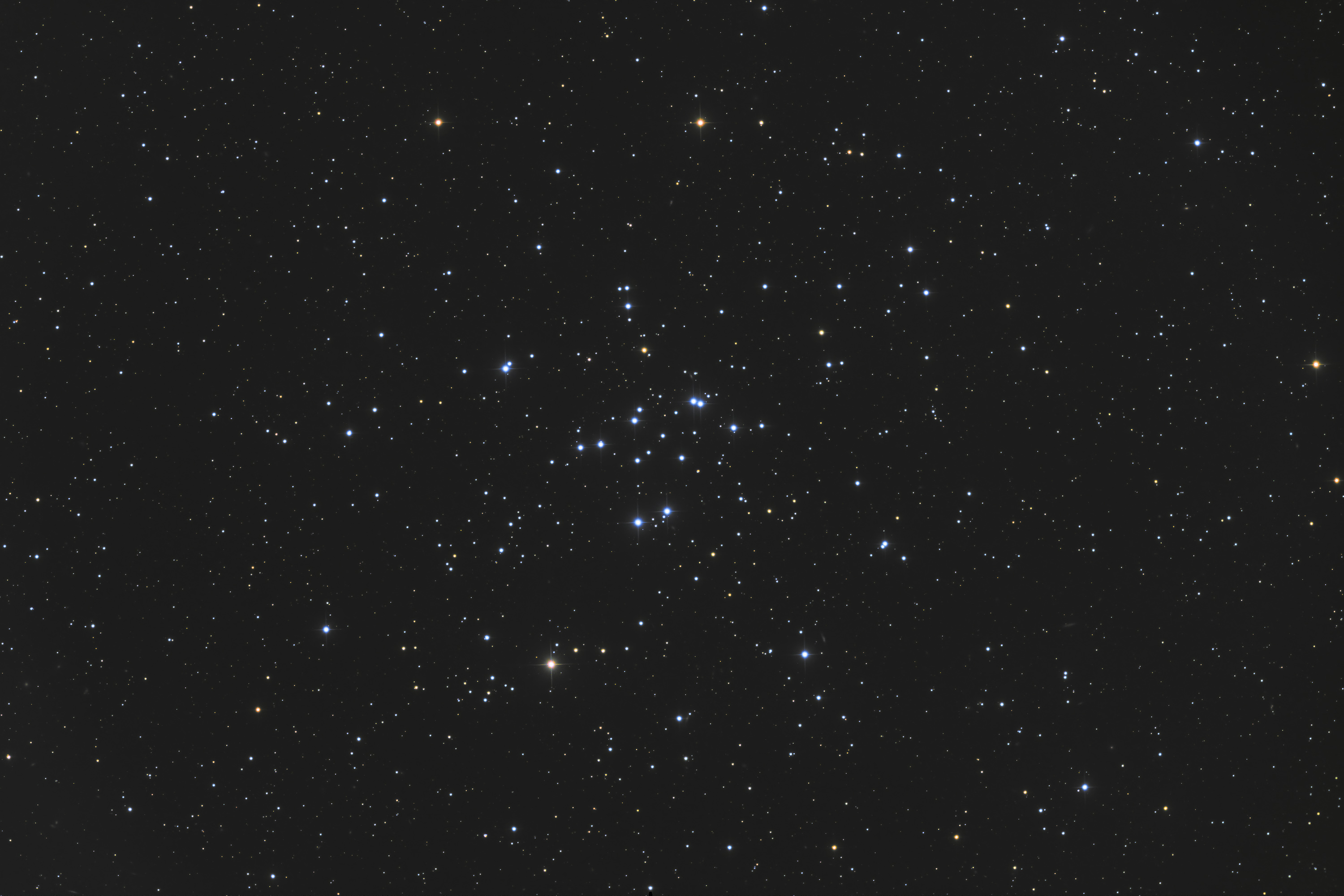 240729_m34_open_star_cluster_-_cdk17_reduced_lrgb.jpg