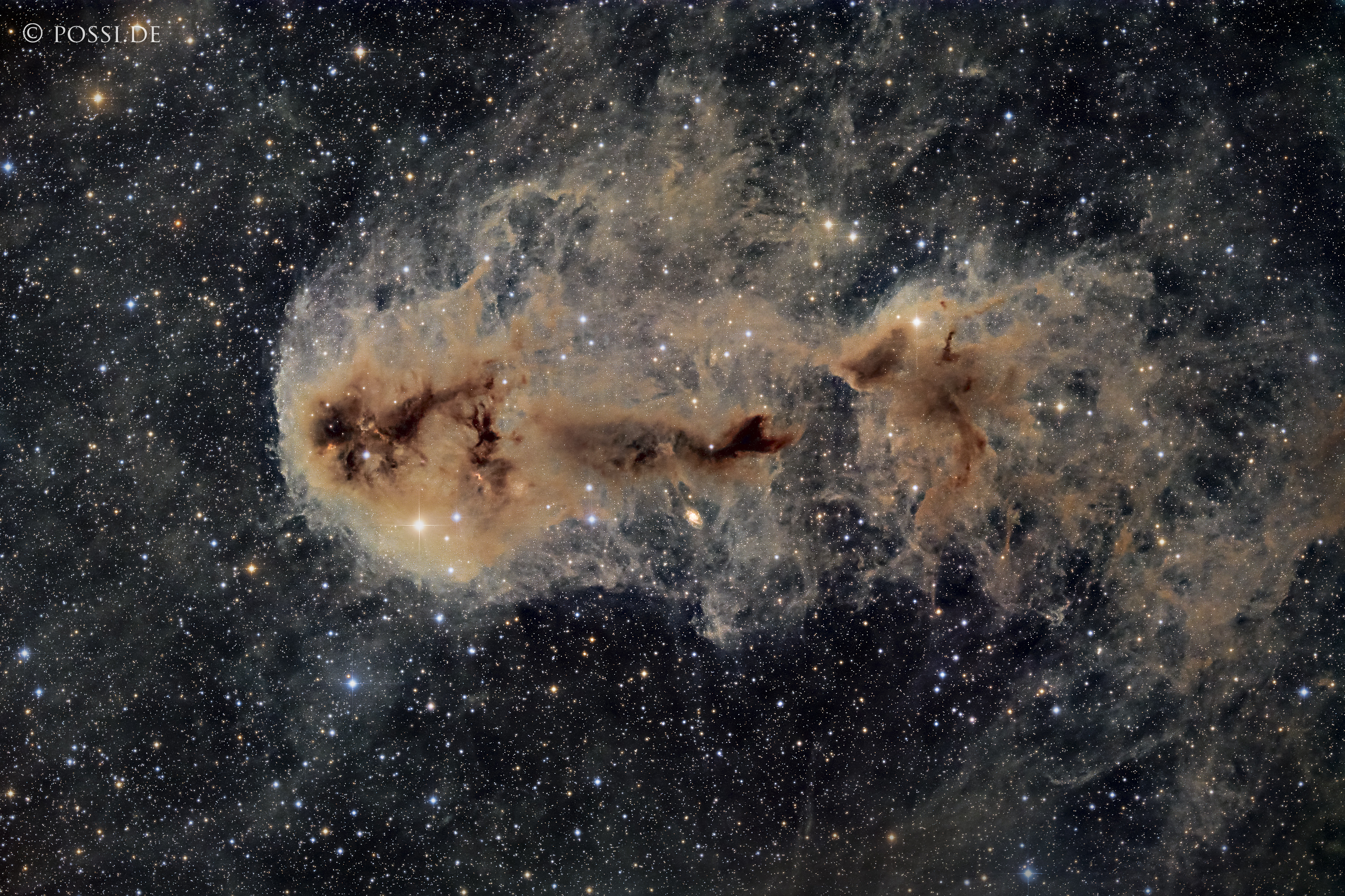 240903_ldn1251_angler_fish_nebula_-_rasda36_rggb.jpg