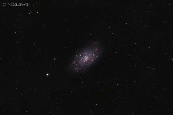230108_ngc2403_small_bright_galaxy_in_camelopardis_-_cdk_reduced_hrgb.jpg