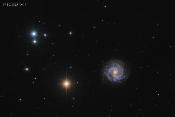 241229_ngc3184_little_pinwheel_galaxy_-_cdk17_lrgb.jpg