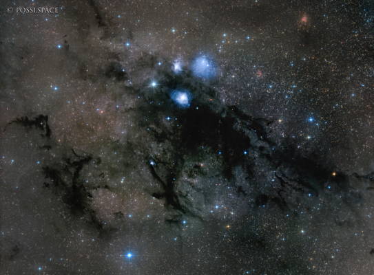 250820_ldn981_and_v1331_cygni_-_rasa36_rggb.jpg