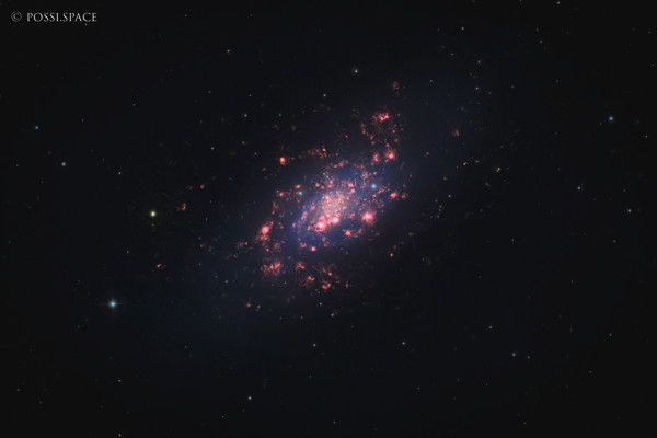 Click for full size 251231_ngc2403_galaxy_in_camelopardalis_-_cdk17reduced_hgb-bearbeitet.jpg