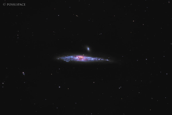 Click for full size 260310_ngc4631_whale_galaxy_-_cdk17_native_lrgb.jpg