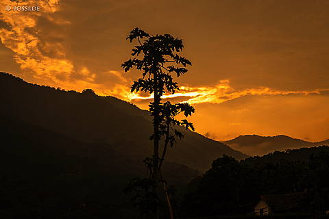 240416-180239.jpg